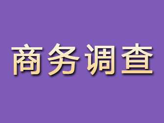 措勤商务调查